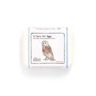 12 Barn Owl Eggs 150g