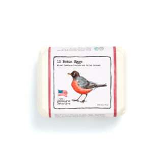 American Robin Egg Front