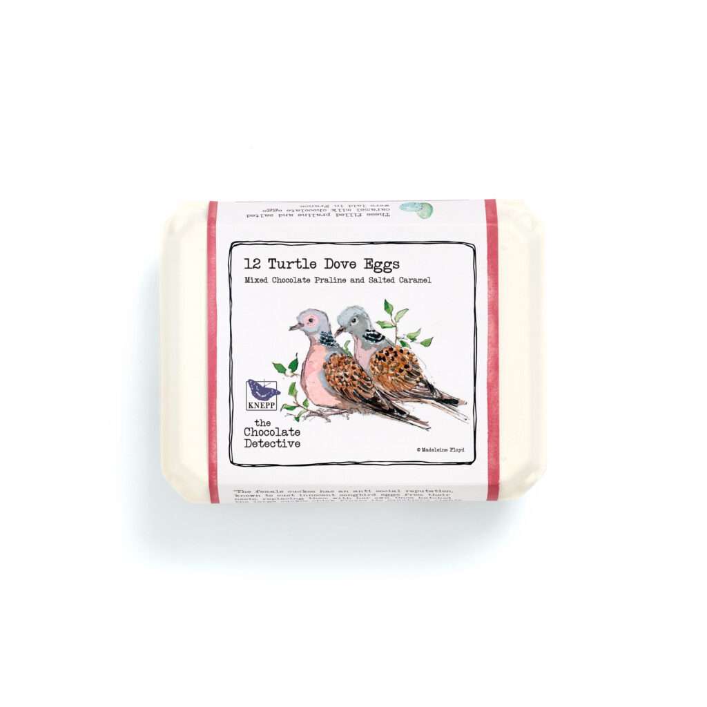 Turtle Dove Egg Front